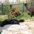 Unsere Tiere - AOS Coralie 439