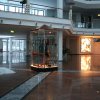 img_7405