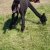 Unsere Tiere