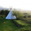 tipi